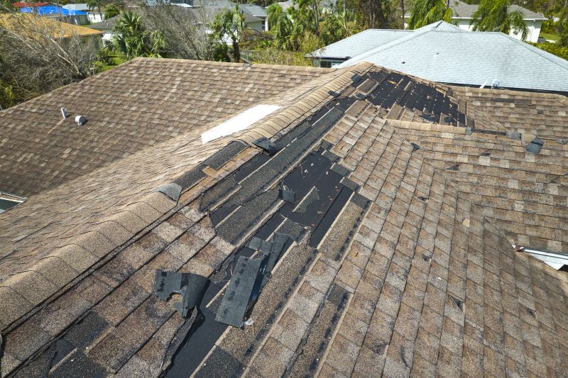 Expert Shingle Repair